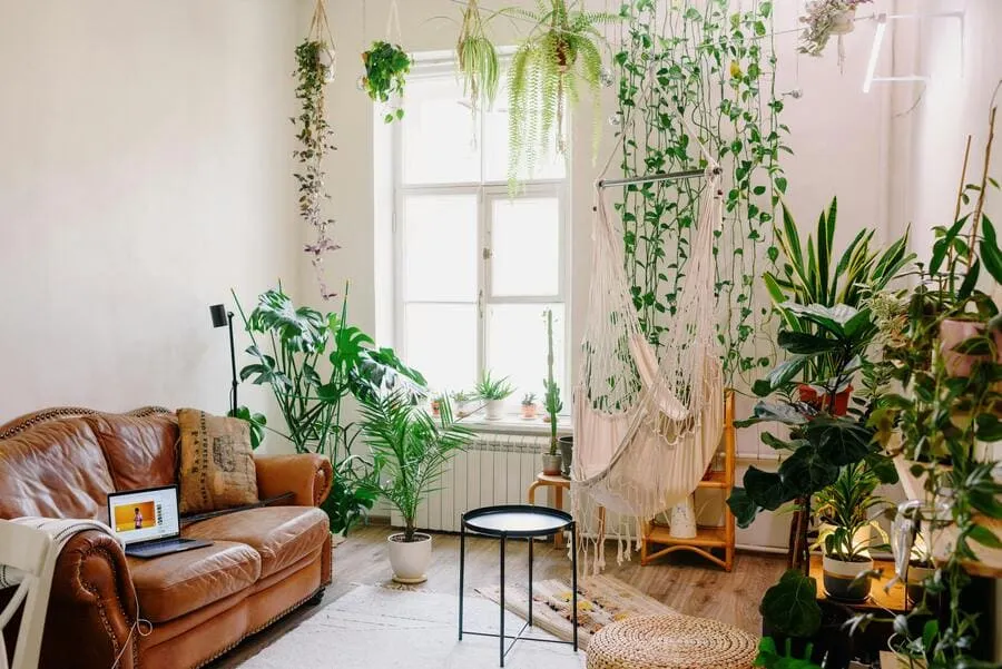 interiorismo-emocional-salon-luz-natural-plantas
