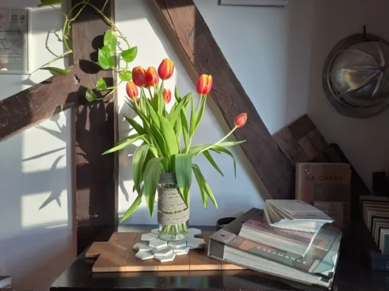 reformas-que-revalorizan-una-casa-estructura-madera-en-pared