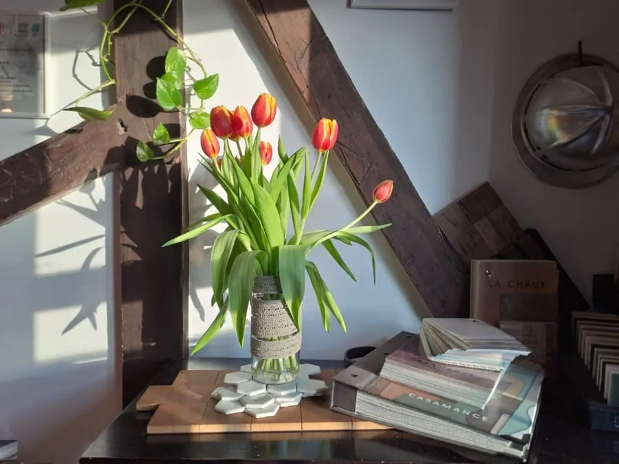 reformas-que-revalorizan-una-casa-estructura-madera-en-pared