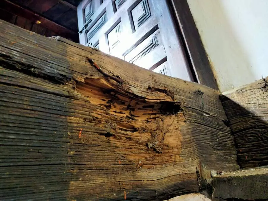 rehabilitacion-de-casas-de-pueblo-estructura-madera-deteriorada